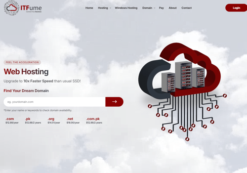 Web Development Package Example: Complete Web Hosting Solution Development