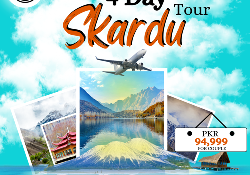 Social Media Marketing Package Example: Graphic Designing & Social Media Marketing