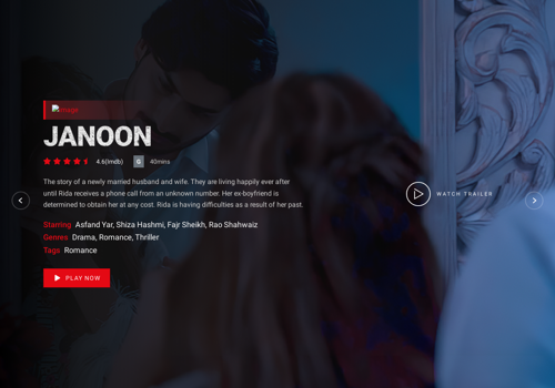 IT Strategy Consulting Package Example: Website Development for OTT Platform
