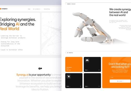 Web Design Package Example: Synergy