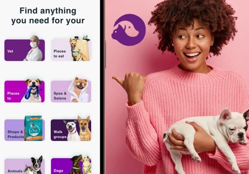 Web Design Package Example: Pet Corners