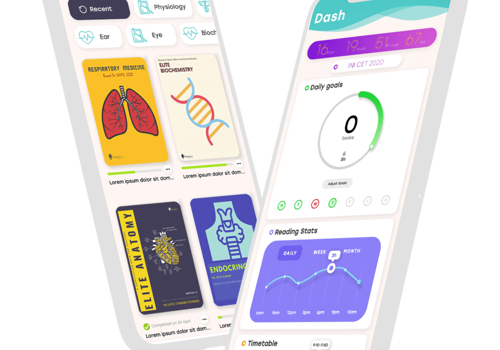IT Strategy Consulting Package Example: The Notespaedia App