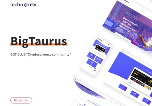 Custom Software Development Package Example: BigTaurus