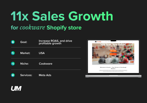 Social Media Marketing Package Example: 11X sales growth with Meta Ads