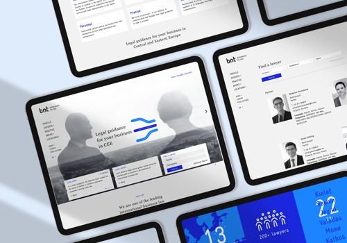 Web Development Package Example: BNT website development