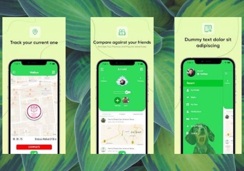 Mobile App Development Package Example: Walkys