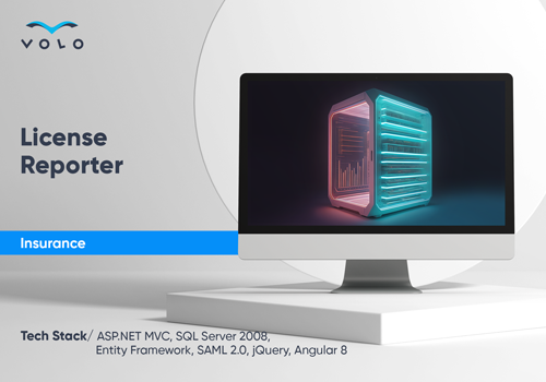 Custom Software Development Package Example: License Reporter