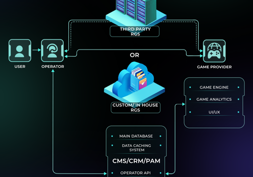 Custom Software Development Package Example: RGS Development with Backward Compatibility