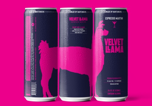 Branding Package Example: VELVET LLAMA