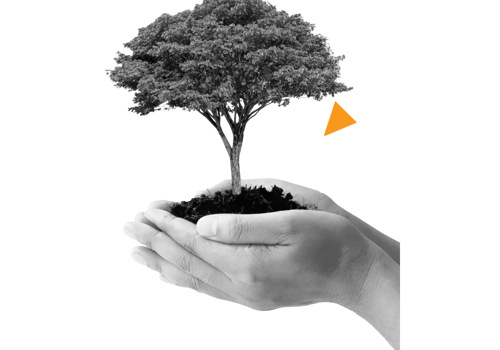 IT Staff Augmentation Package Example: More than a decade of collaboration with IT giant