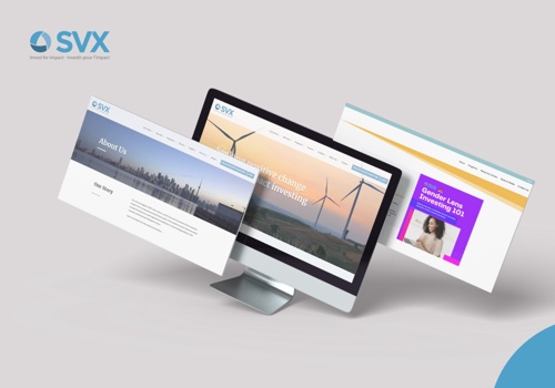 Custom Software Development Package Example: Owned Digital Platform for SVX