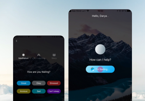 Custom Software Development Package Example: AURA