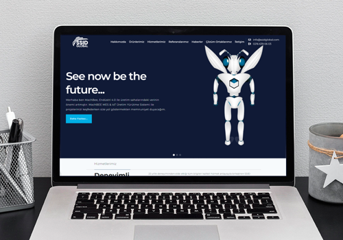 Web Design Package Example: SSID Global