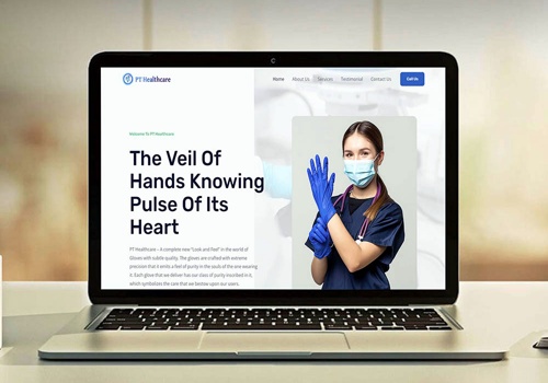 Web Design Package Example: PTcare Gloves