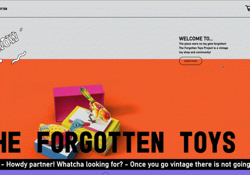 Web Design Package Example: Animated Custom Website