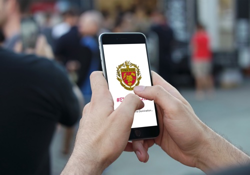 UX/UI Design Package Example: Cy-Woods