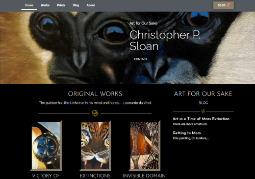 Social Media Marketing Package Example: New Design, SEO and Social Media Marketing