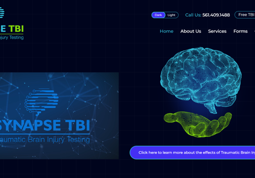 Web Design Package Example: Traumatic Brain Injury Testing & TBI Application