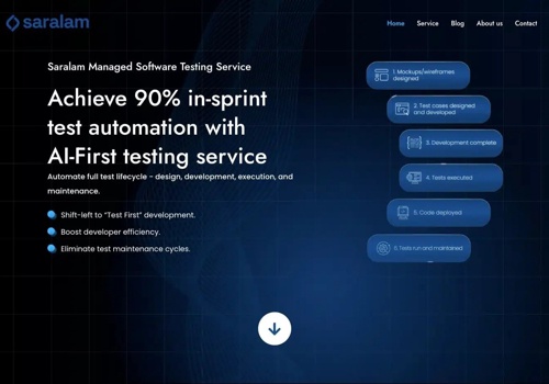 Web Development Package Example: Saralam AI - WordPress Development