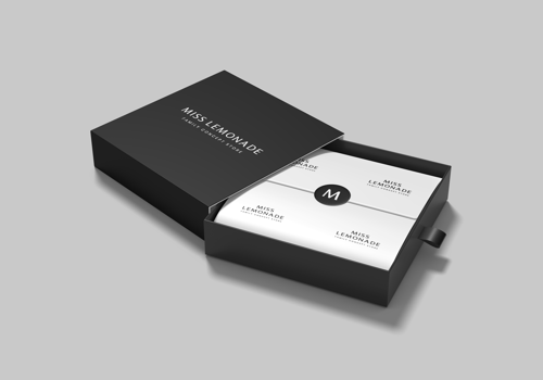 Logo Package Example: Miss Lemonade  Family Concept Store