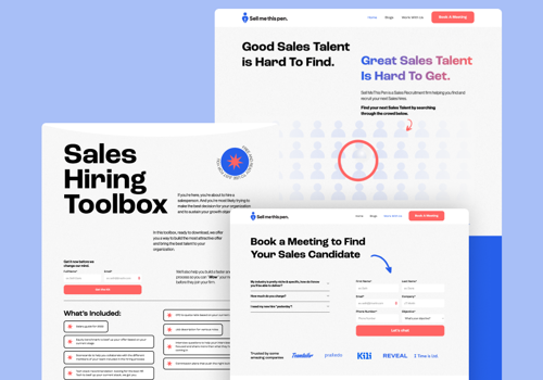 Branding Package Example: Sell Me This Pen Website Redesign