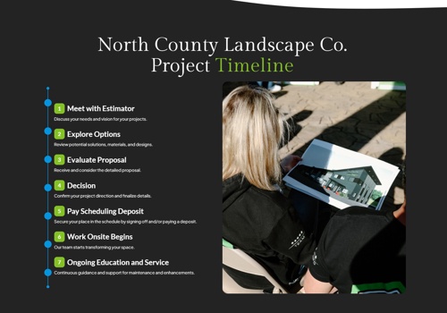 Web Design Package Example: Switching From Wix To WordPress Improved Results