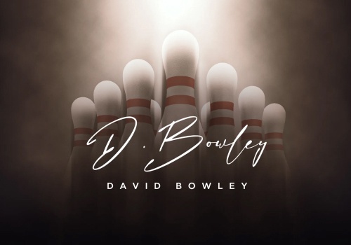 Branding Package Example: David Bowley | Branding