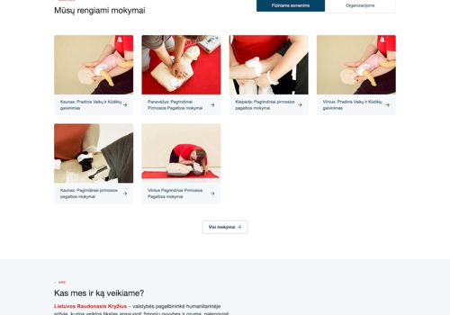 Web Development Package Example: Redcross web development