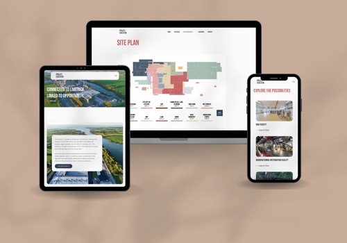 Web Design Package Example: Project Askeaton Website & Dataroom
