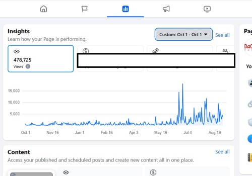 Digital Strategy Package Example: A.I. Social Media Management and SEO