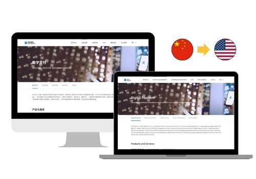 Translation Package Example: Case Study: Ant Group