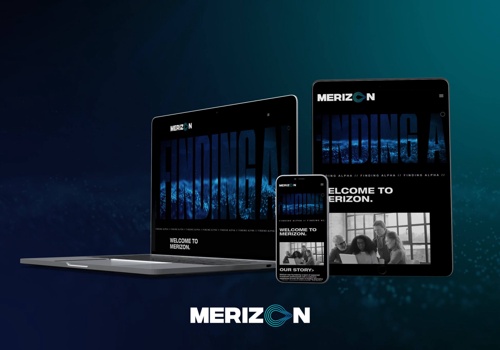 Web Design Package Example: Merizon - Responsive website with custom animation
