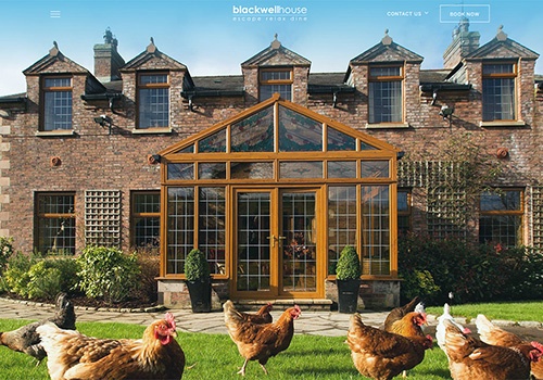 Branding Package Example: Boutique Hotel Website with Integrated Experience