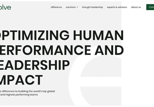 Web Design Package Example: Evolve Leadership