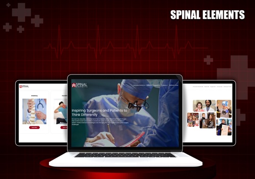 Custom Software Development Package Example: Spinal Elements: Surgery Solutions Provider