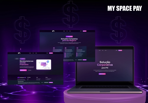 Web Design Package Example: MySpacePay: Fintech Platform