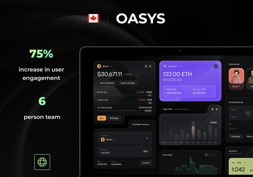 Blockchain Package Example: NFT Platform Development for Rentals