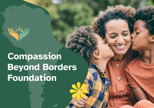 Web Design Package Example: Bringing a Mission-Driven Non-Profit Online