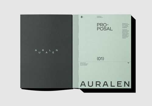 Branding Package Example: Auralen Brand Identity