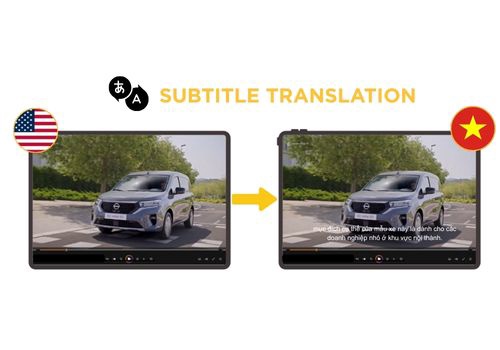 Translation Package Example: Case Study: Film Content Company Europe