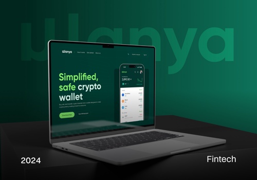 IT Strategy Consulting Package Example: Wanya Digital Wallet & Cross-Border Payments App