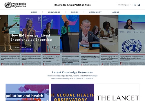 Web Development Package Example: Knowledge Action Portal (WHO)