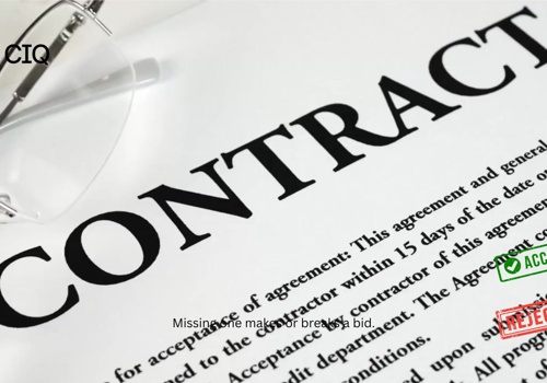 AI Consulting Package Example: AI-Powered Bid Document Matching