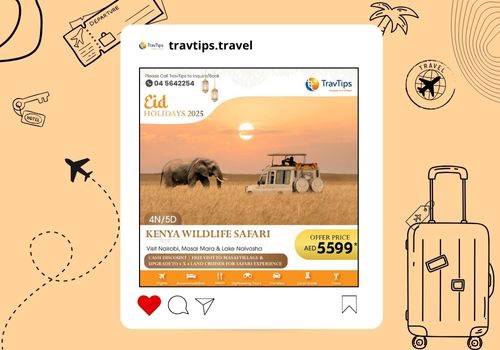 Pay Per Click Package Example: Travel Industry: TravTips