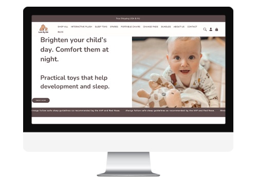 Search Engine Optimization Package Example: SEO & PPC Services for Online Baby Store
