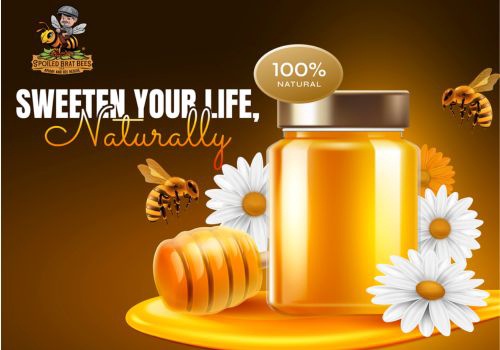 Web Design Package Example: Web Design for Spoiled Brat Bees