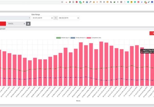 Custom Software Development Package Example: Reports & Graph for Service Marketplace