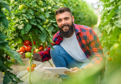 IT Managed Services Package Example: IoT Asset & Inventory Tracking