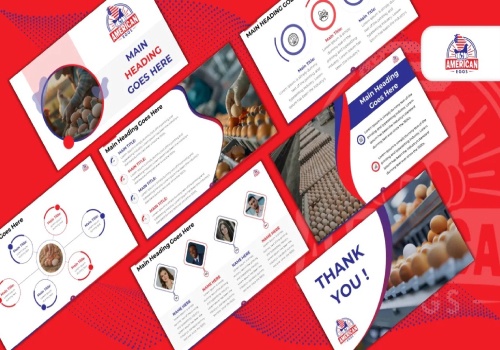 Product Design Package Example: American Eggs Industry Presentation