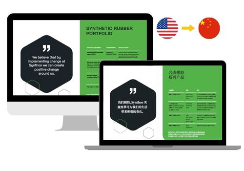 Translation Package Example: Case Study: Synthos Group